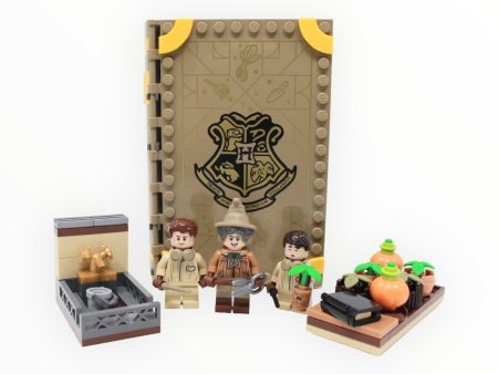 Used Set 76384 Harry Potter Hogwarts Moment: Herbology Class For Cheap