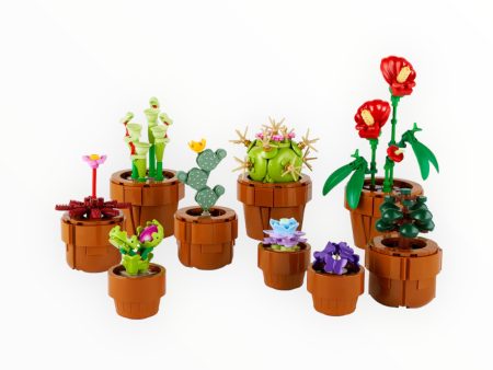 10329 Botanical Collection Tiny Plants Online